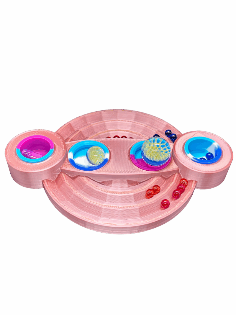 terp pearl disk 4x - Image 5